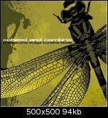 Coheed And Cambria : Live at the Avalon